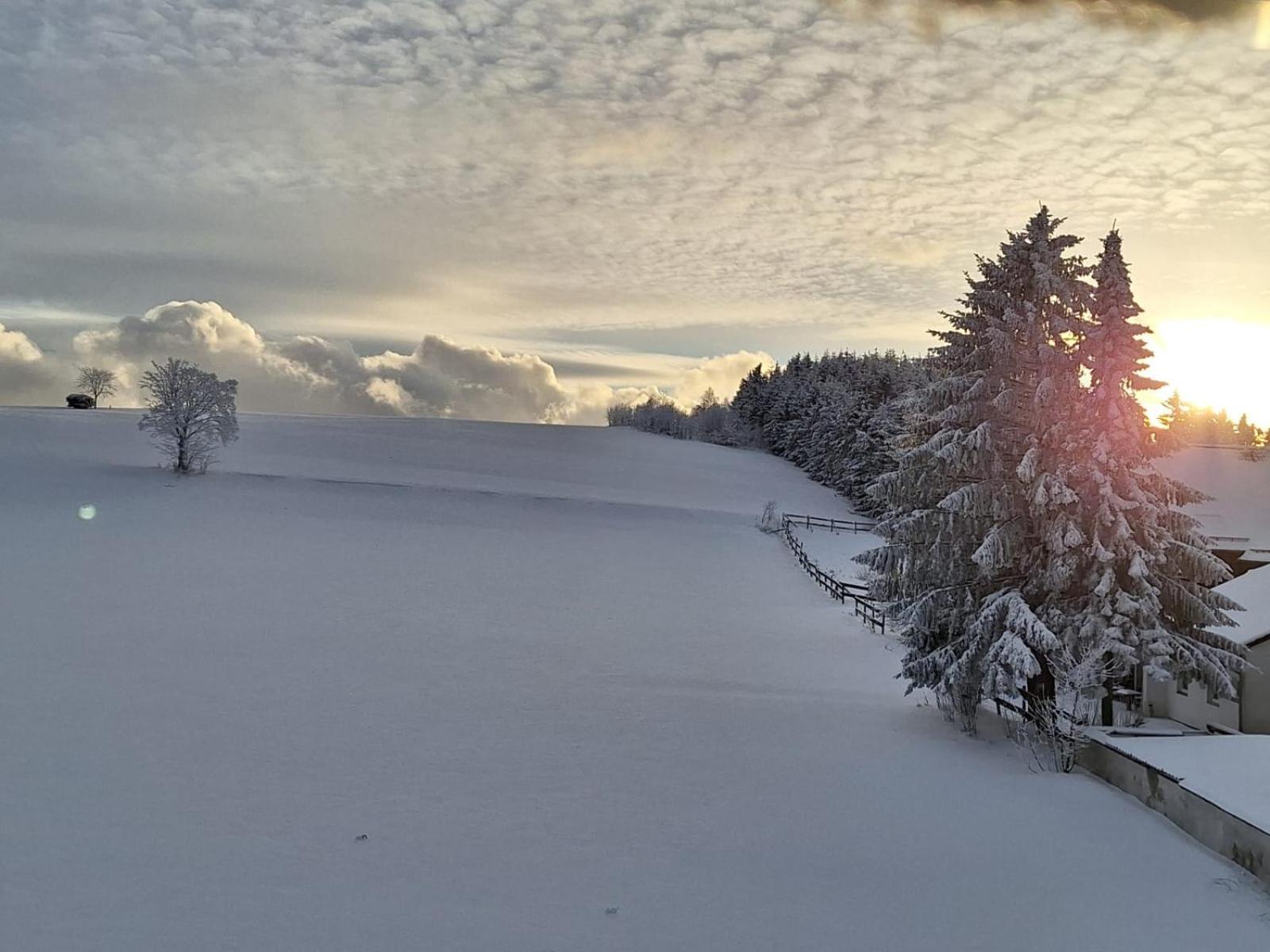 Pension Hubertus Winterberg Exteriör bild