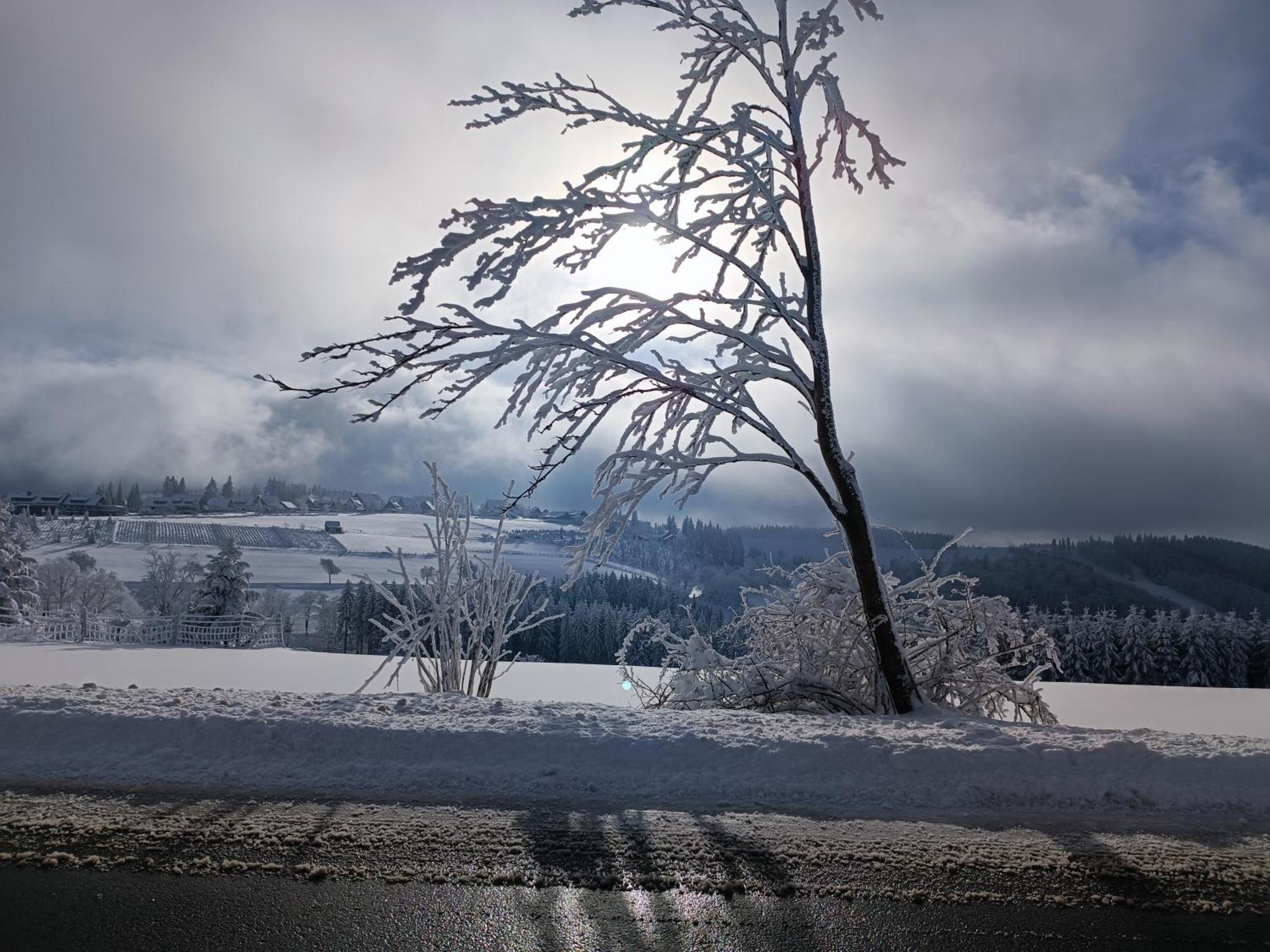 Pension Hubertus Winterberg Exteriör bild