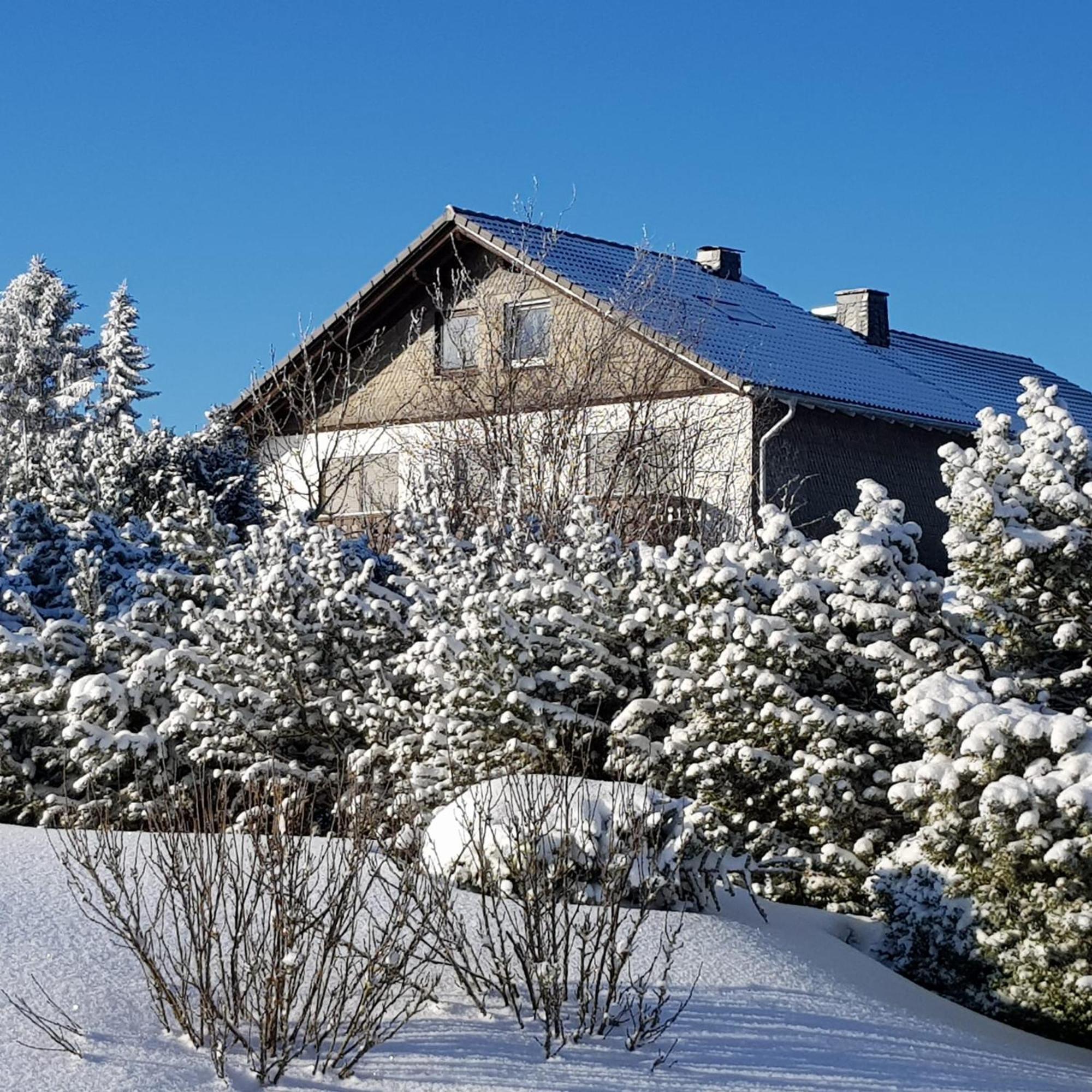 Pension Hubertus Winterberg Exteriör bild